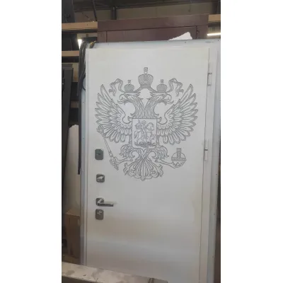 Входная металлическая дверь